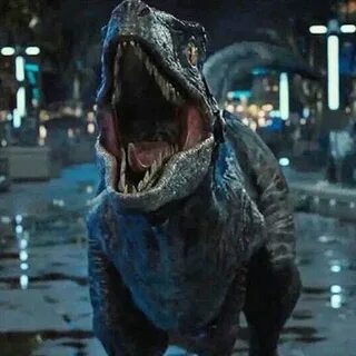 JurassicPark4.4 on Instagram: "#jurassicworld #velociraptor 