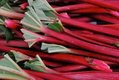 The Best Ways to Use Rhubarb This Spring - Edible Communitie