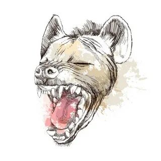 Background Of Hyenas Laughing Сток видеоклипы - iStock