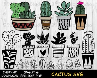 Free Svg Cactus And Succulent?? - Download Free SVG Cut File