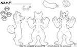 Furry Ref Sheet Base Cat - Sen Wallpaper
