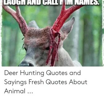 Deer Hunting Quotes and Sayings Fresh Quotes About Animal De