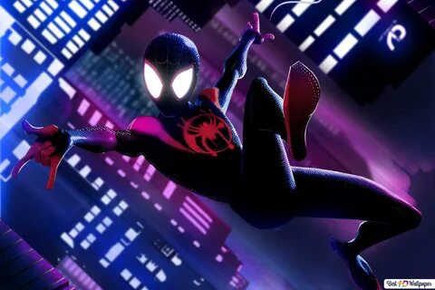 Spider-Man: Into the Spider-Verse movie - Miles Morales as S