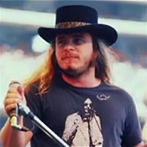 49 Lynyrd Skynyrd ideas lynyrd skynyrd, lynyrd skynyrd band,