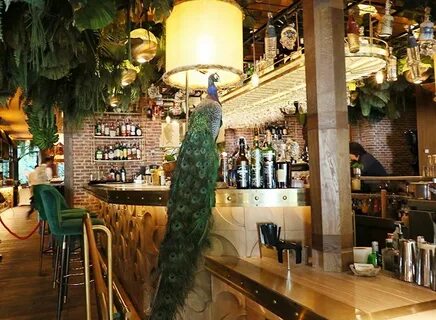 Amazonico Restaurant, a chic point in Madrid. Madrid