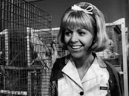 Mayberry R.F.D. Star Arlene Golonka's Net Worth At The Time 
