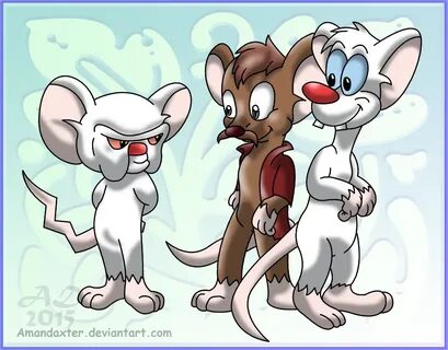 Hanging around with Pinky and the Brain -PC- by Amandaxter o