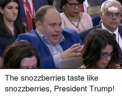 🐣 25+ Best Memes About the Snozzberries Taste Like Snozzberr