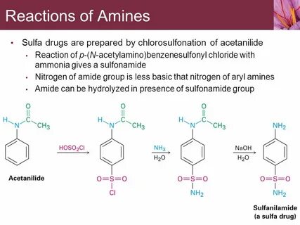 Amines and Heterocycles - ppt video online download