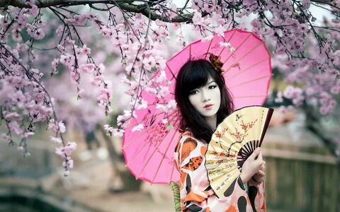 Tree sakura japan girl umbrella pink beautiful wallpaper 1920x1200 800500 Wallpa