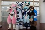 Fursuit General - /cgl/ - Cosplay & EGL - 4archive.org