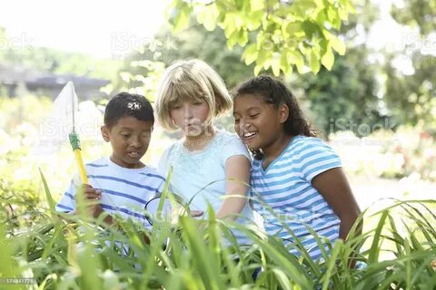 Young Explorers Stock Photo - Download Image Now - iStock