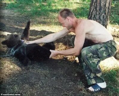 Russian hunter killed and eaten after brown bear he raised a