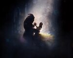 Beauty and the Beast 2017 4K Wallpaper - Free Wallpapers