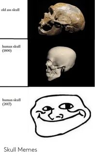 Old Ass Skull Human Skull 1800 Human Skul 2017 Skull Memes M