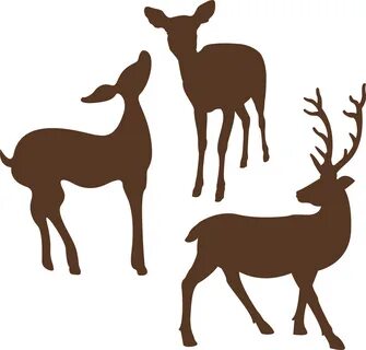 Mule Deer Vector - Фото база