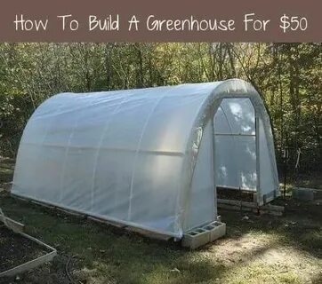 How to build a greenhouse for $50 (With images) Diy greenhou