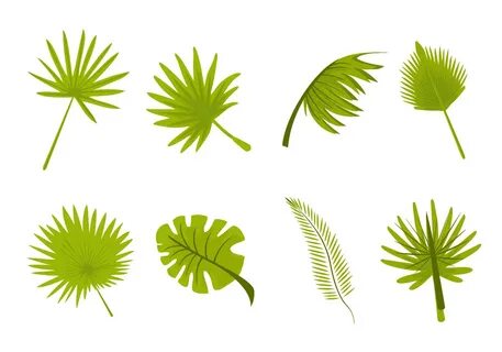 Tropical Leaves Svg Bundle Palm Leaf - 160+ Popular SVG Desi