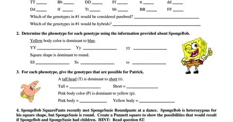 Sponge Bob Genetics.pdf - Google Диск
