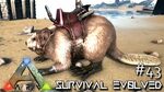 Ark Survival Evolved Taming Beaver