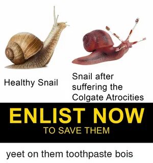 Snail After Suffering the Healthy Snail Colgate Atrocities E