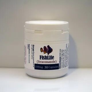 FishLife Itraconazole 100mg 60 Count - Antibiotics for fish