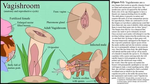 Sex Furry Urethra Penetration - Erotic photos of naked girls