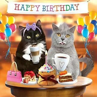 #Funny cats 3d holographic #birthday card tea party cake & b