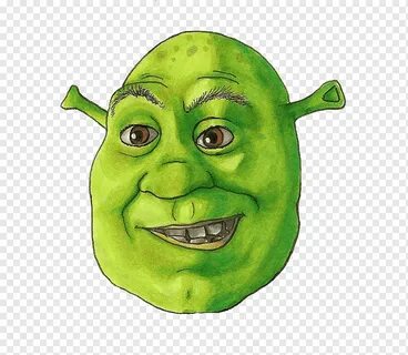 Free download Shrek Film Series Fan art, Shrek Donkey, face,