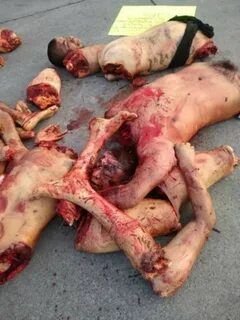 GRAPHIC: Mexican Cartel Gunmen Leave Dismembered Bodies as T