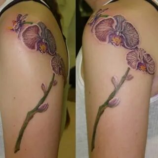 Orchid Tattoo Images & Designs