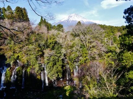 File:Fujinomiya Shiraito-Wasserfall & Fuji-san 4.jpg - Wikim
