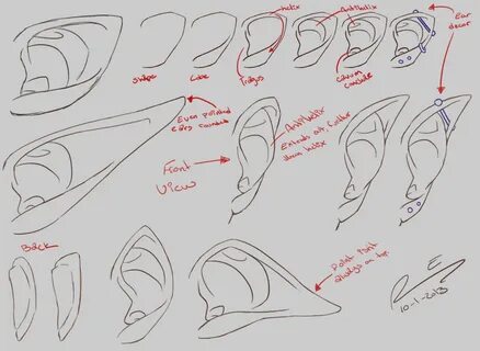 Ear Practice 10-01-2013 by ColletteRen Mythical creatures dr