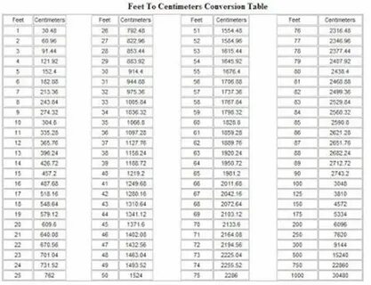 45 Cm To Feet / 5400 Centimeters To Feet Converter 5400 cm T