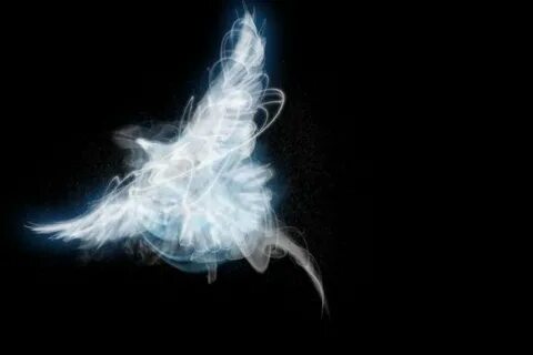 Free download patronus patronus Photo 34611659 900x600 for y