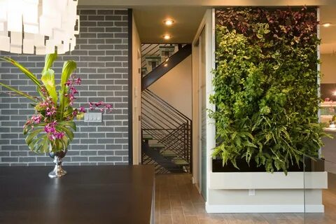 Стены с живыми растениями (56 фото)