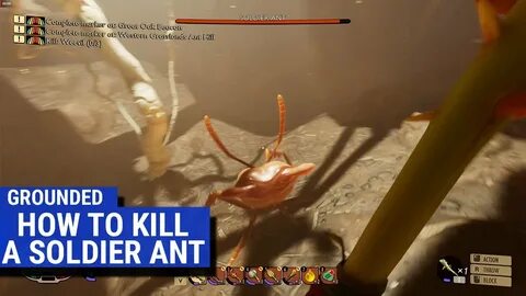 Grounded Gameplay - How to Kill a Soldier Ant - YouTube