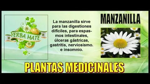 MEDICINA NATURAL - YouTube