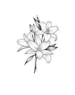 250+ Lily Tattoo Designs With Meanings (2020) Flower ideas &