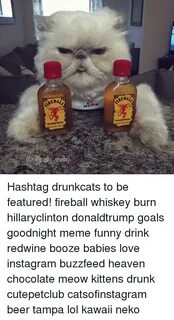 Fireball Whisky Meme Related Keywords & Suggestions - Fireba