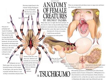 Anatomy of Female Creatures by Shungo Yazawa