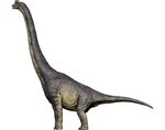 Brachiosaurus Jurassic World Evolution Wiki Fandom Brachiosa