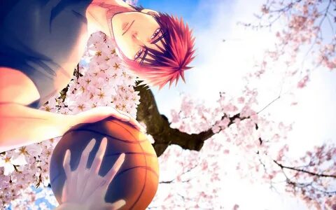 kagami taiga wallpaper,sky,spring,organism,fun,basketball (#