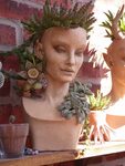 Planter head with stapelia in bloom Plant decor indoor, Gard