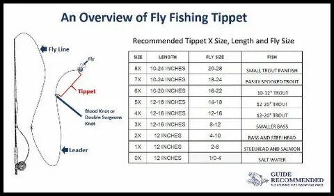 Tippet Chart Related Keywords & Suggestions - Tippet Chart L