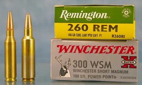 Do You Really Need Premium Ammo? - Gun Digest