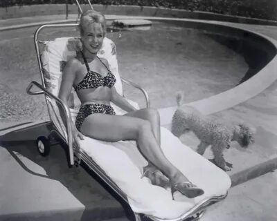 Picture of Barbara Eden