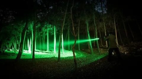 Best Green Lights For Hog Hunting - Top 5 Ultimate Reviews