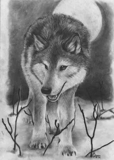 10+ Cool Wolf Drawings for Inspiration - Hative Cool wolf dr