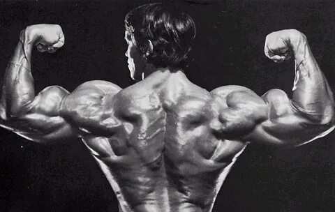 Arnold Schwarzenegger Back Double Biceps - Built Report